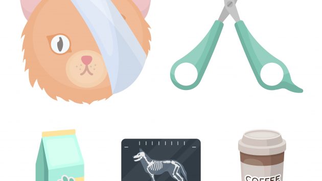 Image of Vet Clinic set collection icons in cartoon style