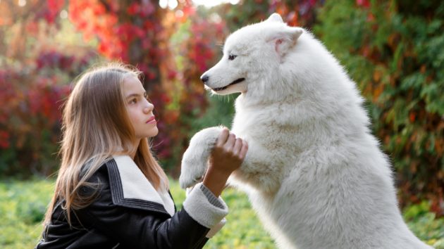 image of a girl with her dog in a park